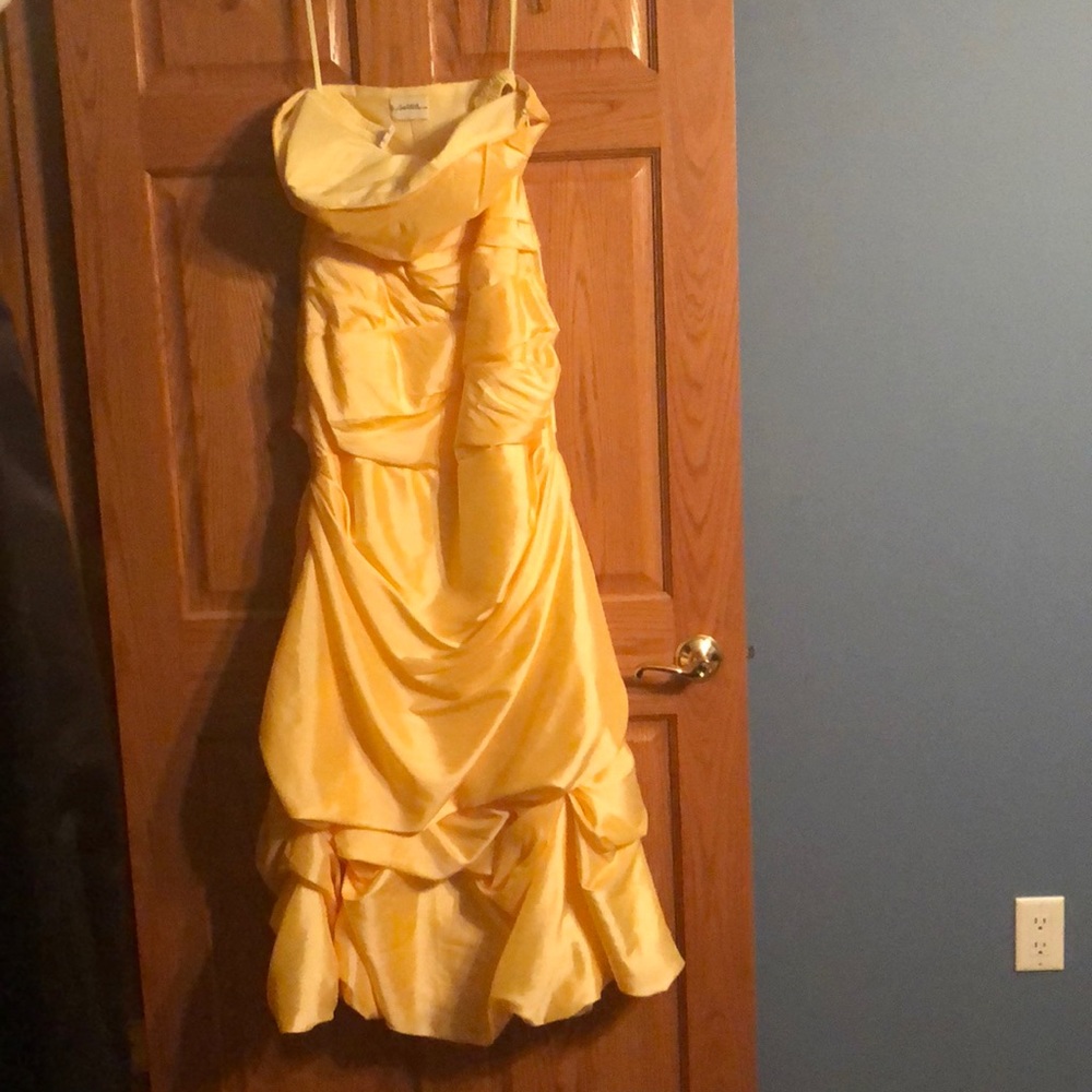 NWT Beautiful formal dress